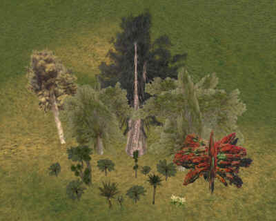 NZ_trees.jpg (128049 bytes)