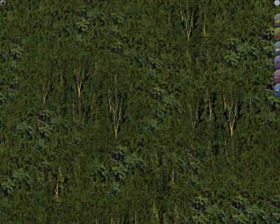texture-trees.jpg (120366 bytes)